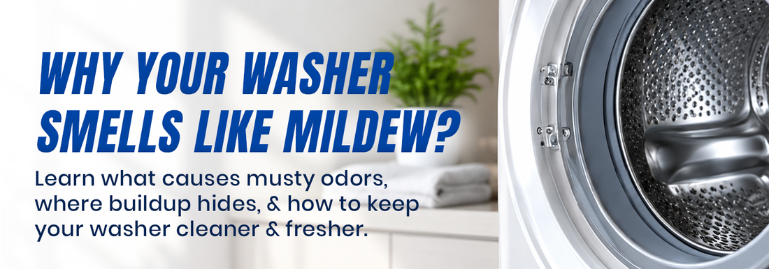 What’s Hiding Inside Your Washer?